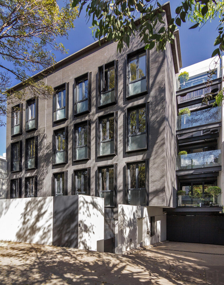 Photo - The Wild Oscar