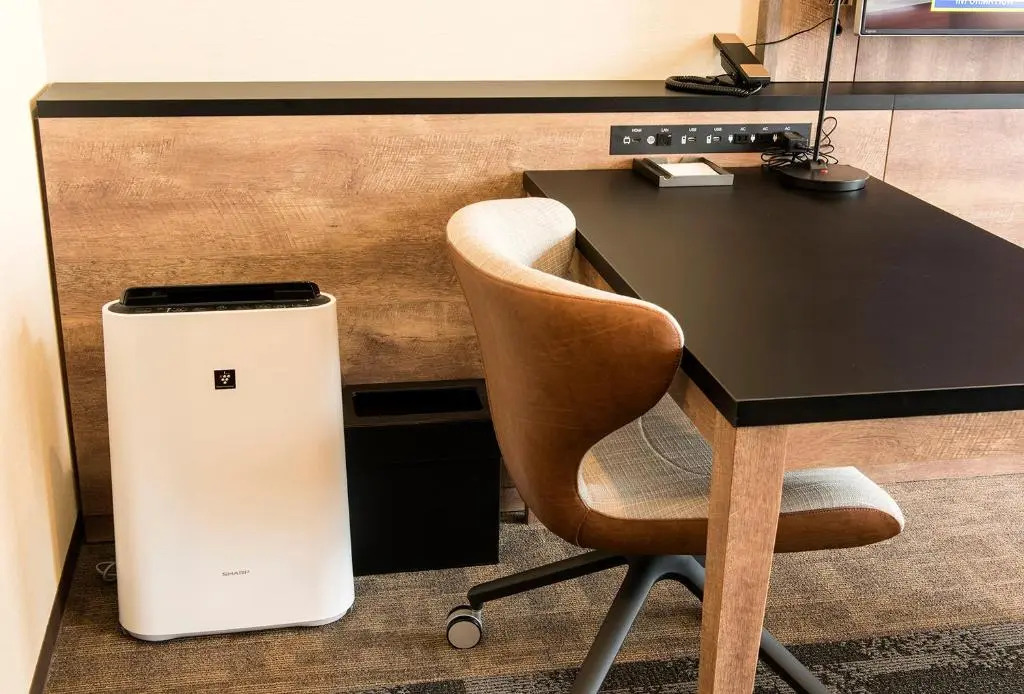 Foto - Rembrandt Style Sapporo