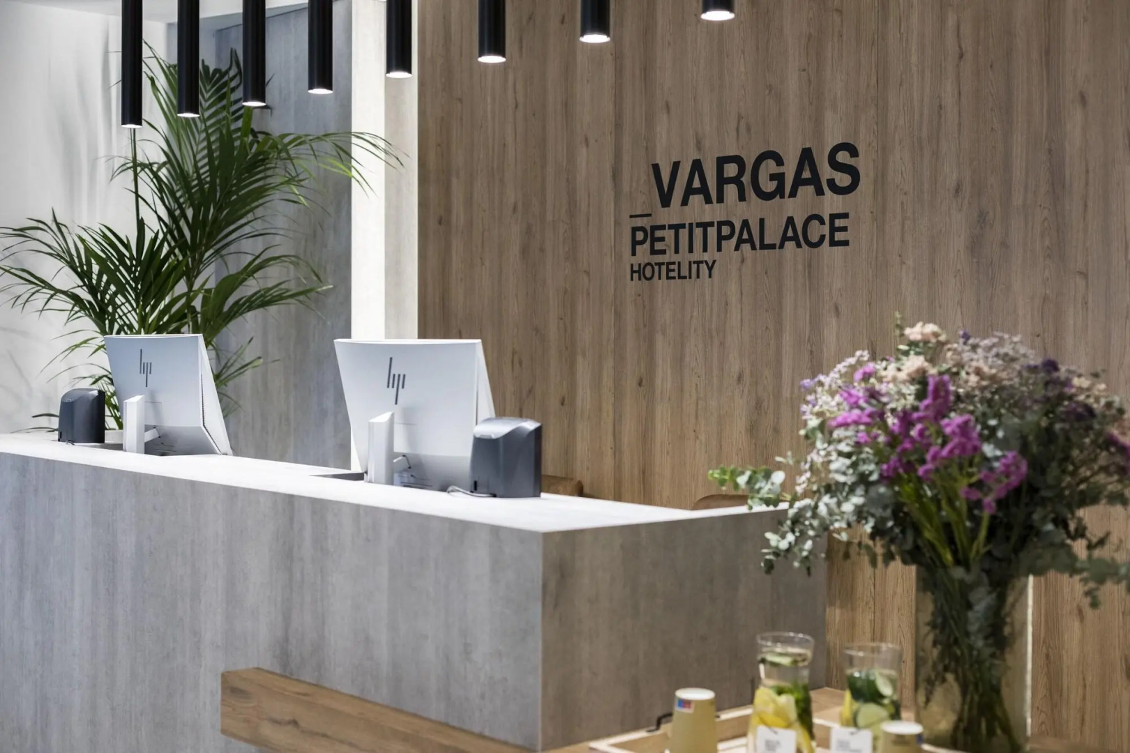 Foto - Petit Palace Vargas