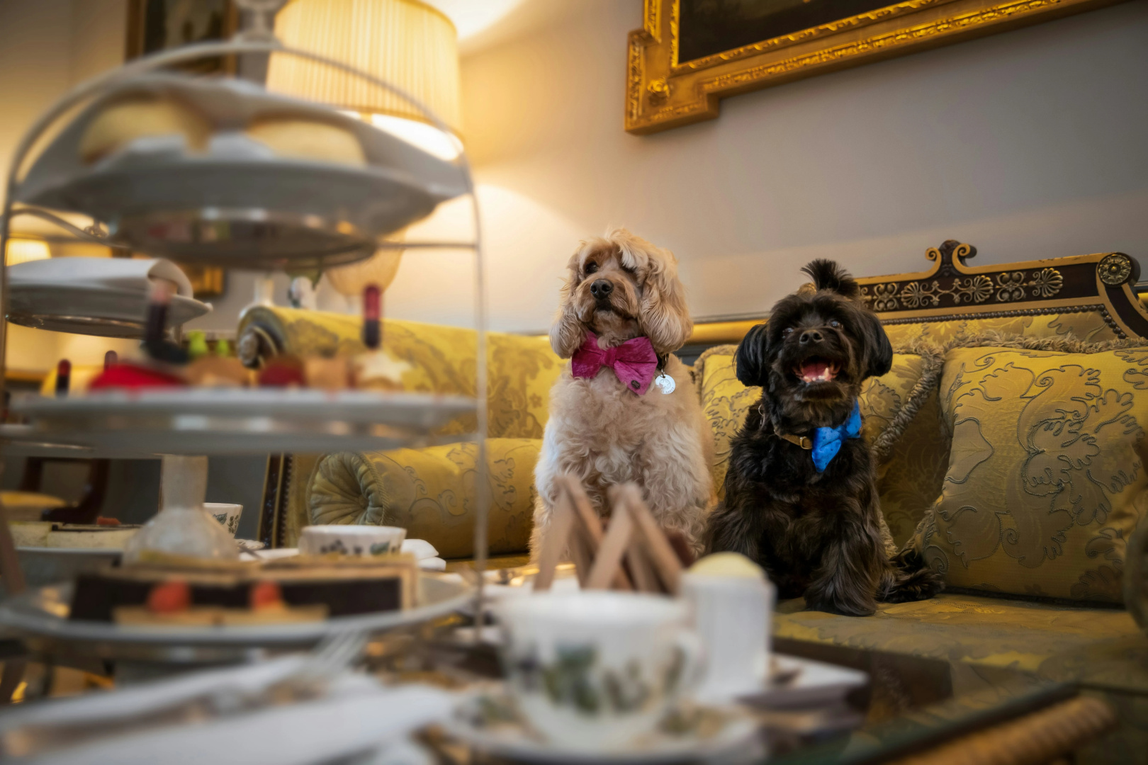 Foto - The Lanesborough, Oetker Hotels