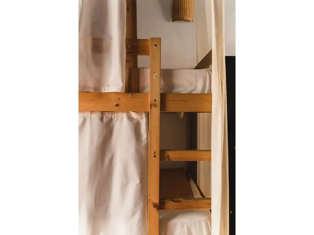 Photo - Ashavana Nest Hostel