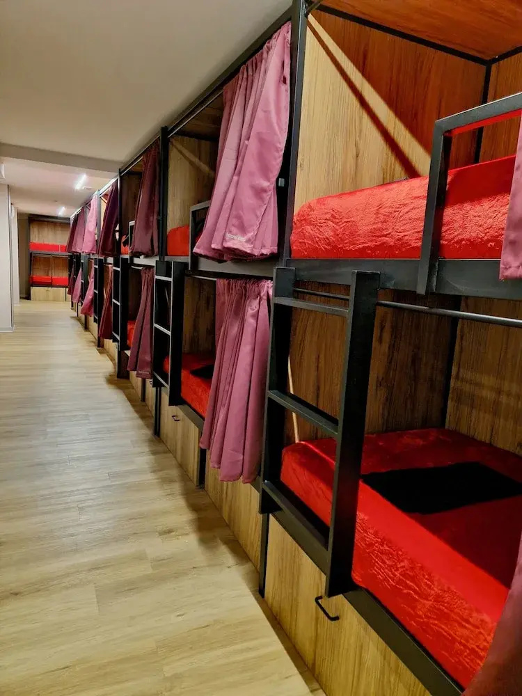 Photo - Velvet Hostel Business