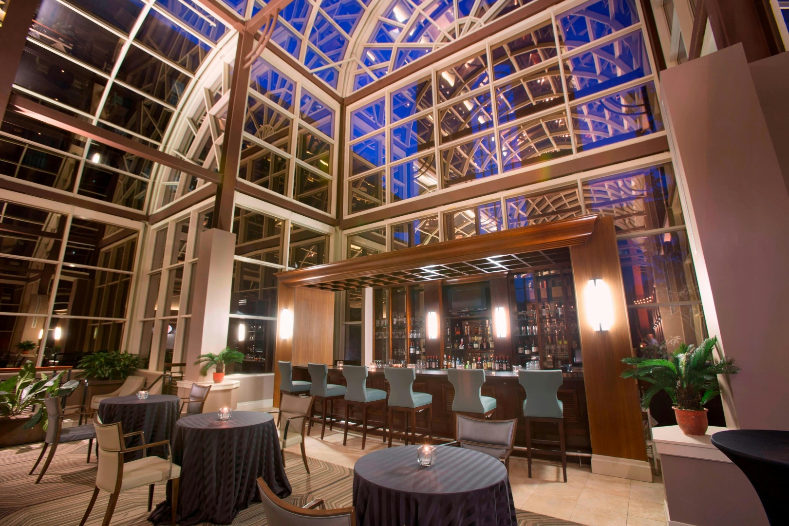 Foto - Sheraton Orlando North Hotel
