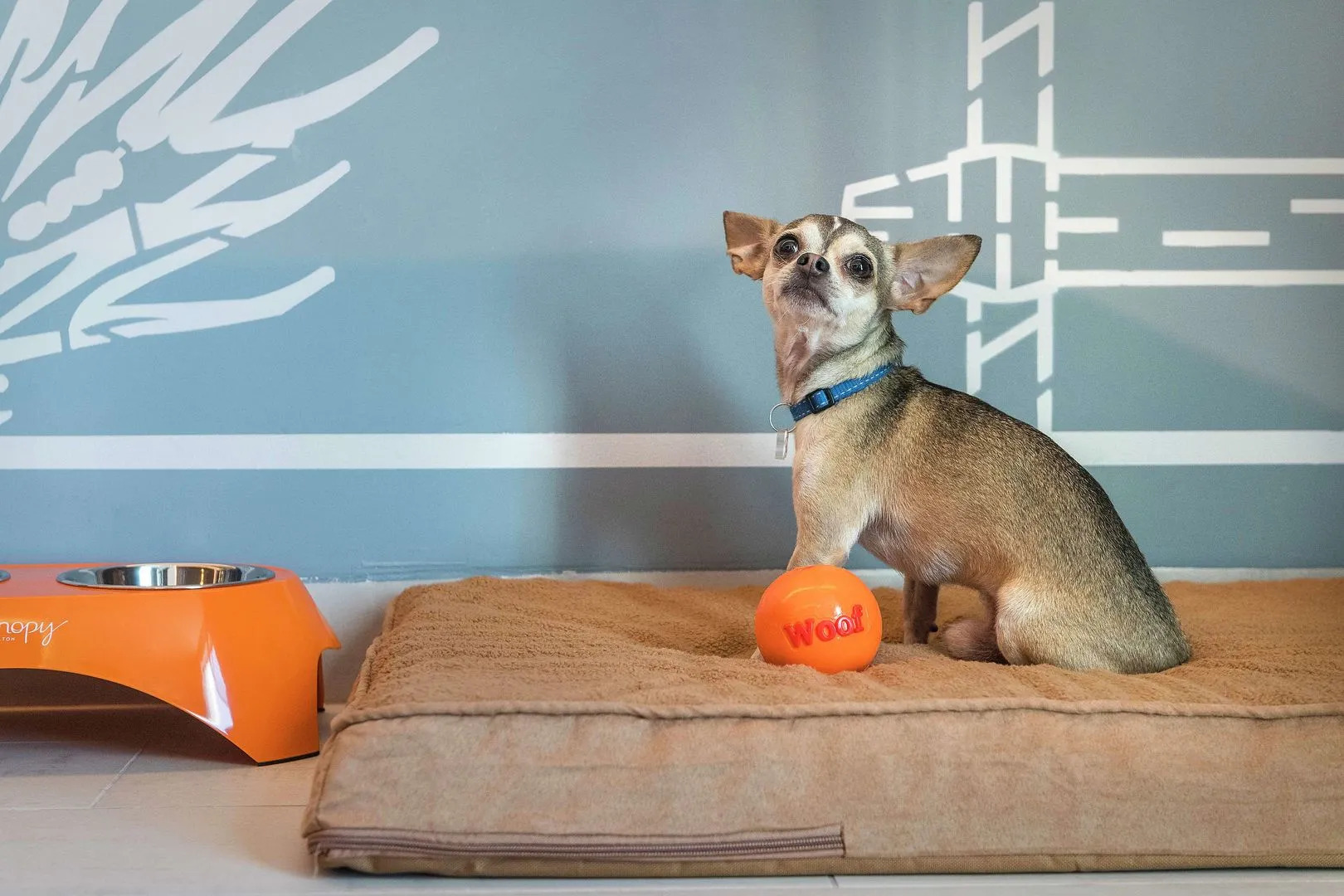 Photo - Canopy By Hilton Cancun La Isla