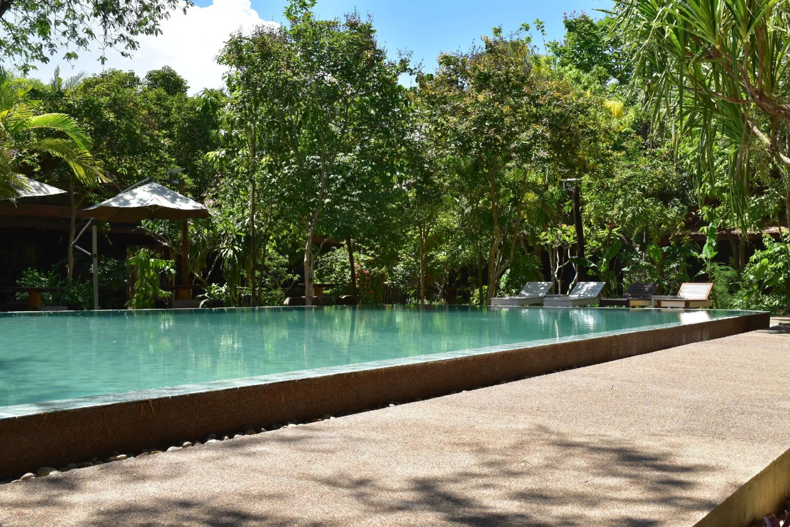 Foto - Palm Village Resort & Spa