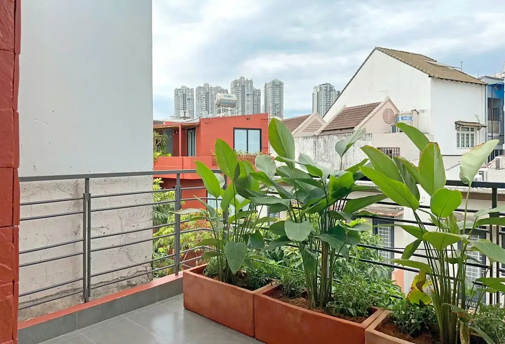 Photo - Kin Wander Tân Phong, The Moonage