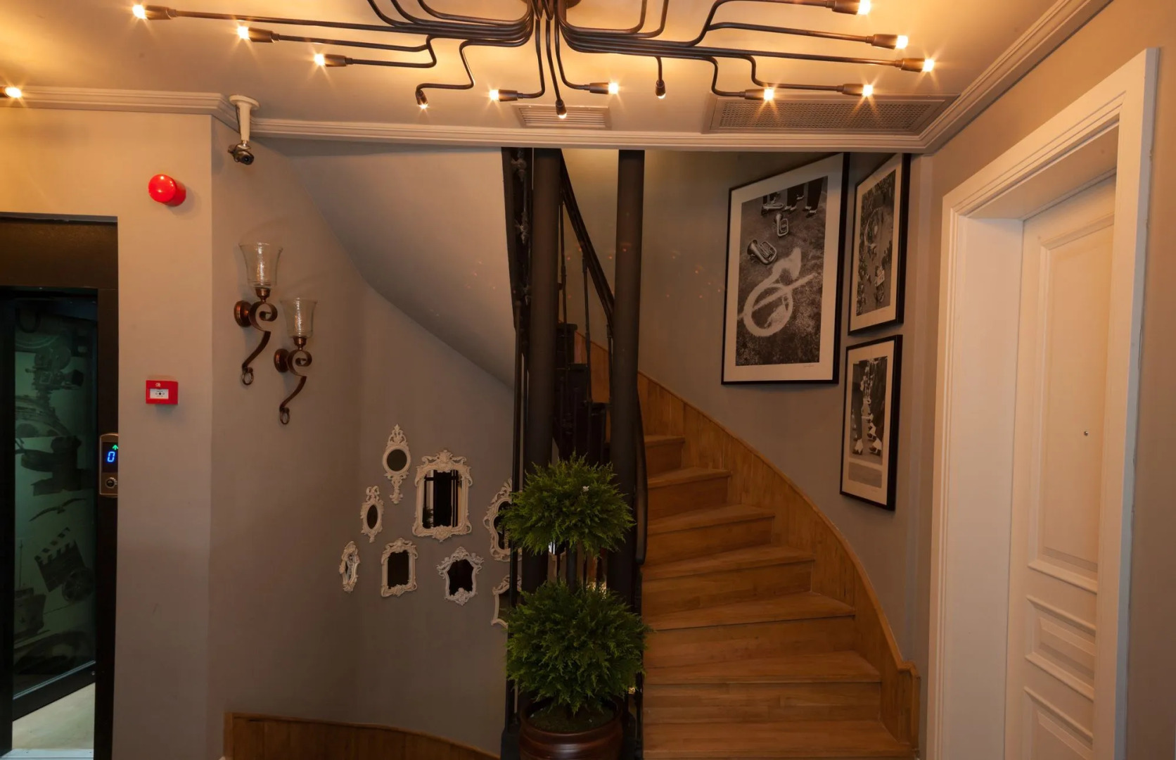 Foto - Pino Verde Hotel