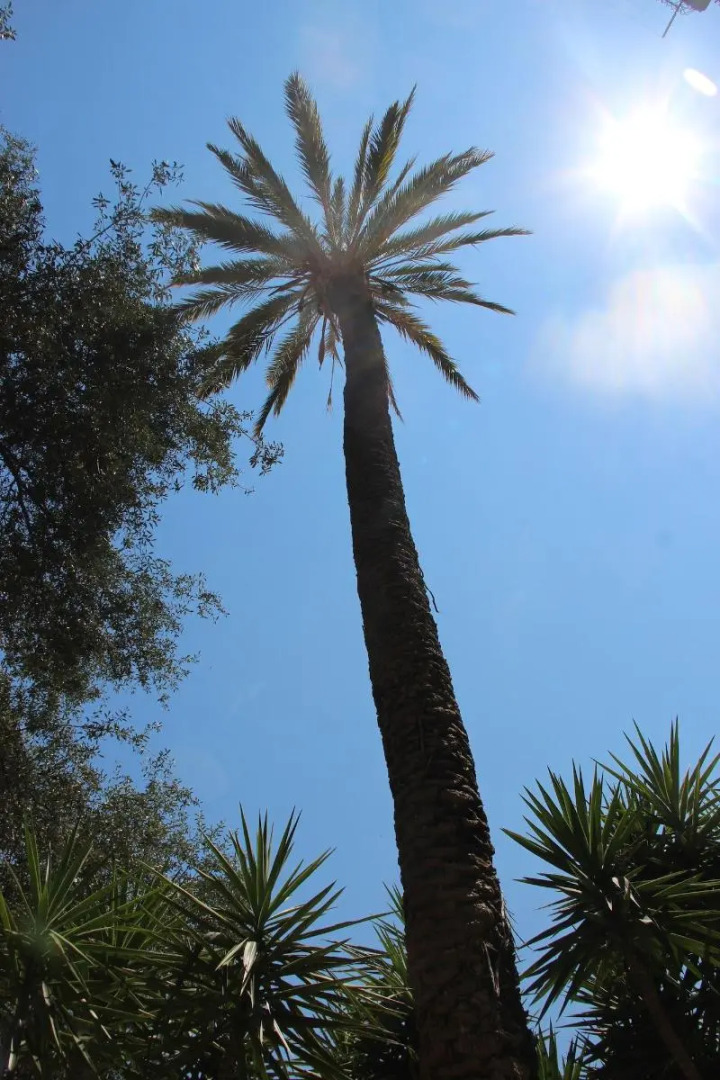 Foto - Corte del Merlo