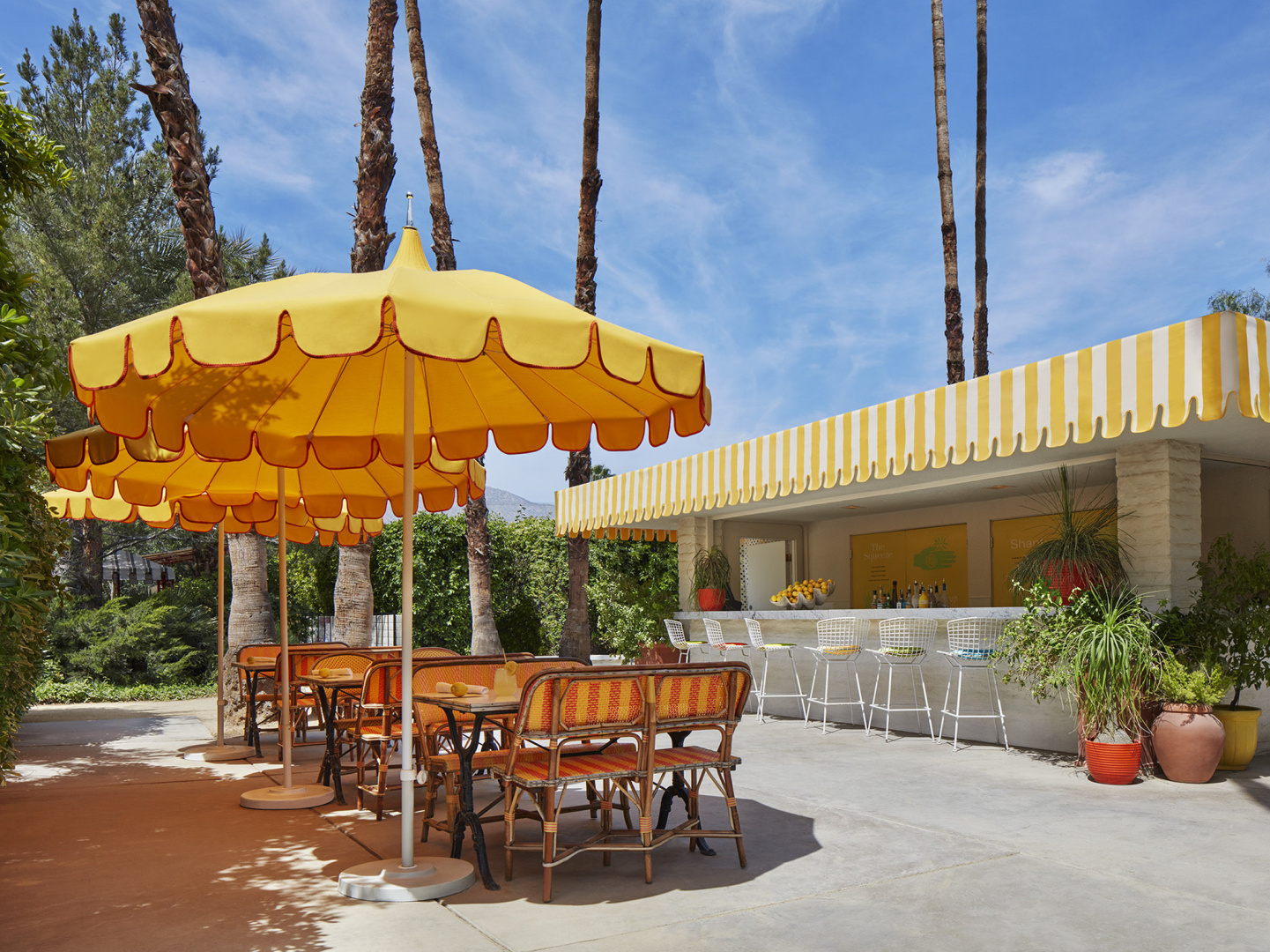 Foto - Parker Palm Springs