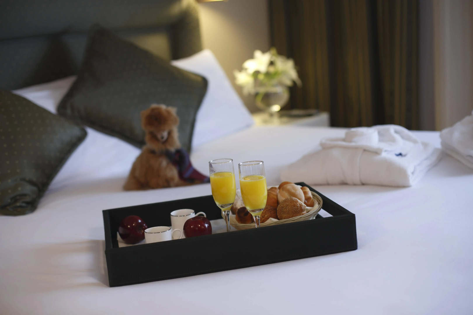 Foto - Suites del Bosque Hotel