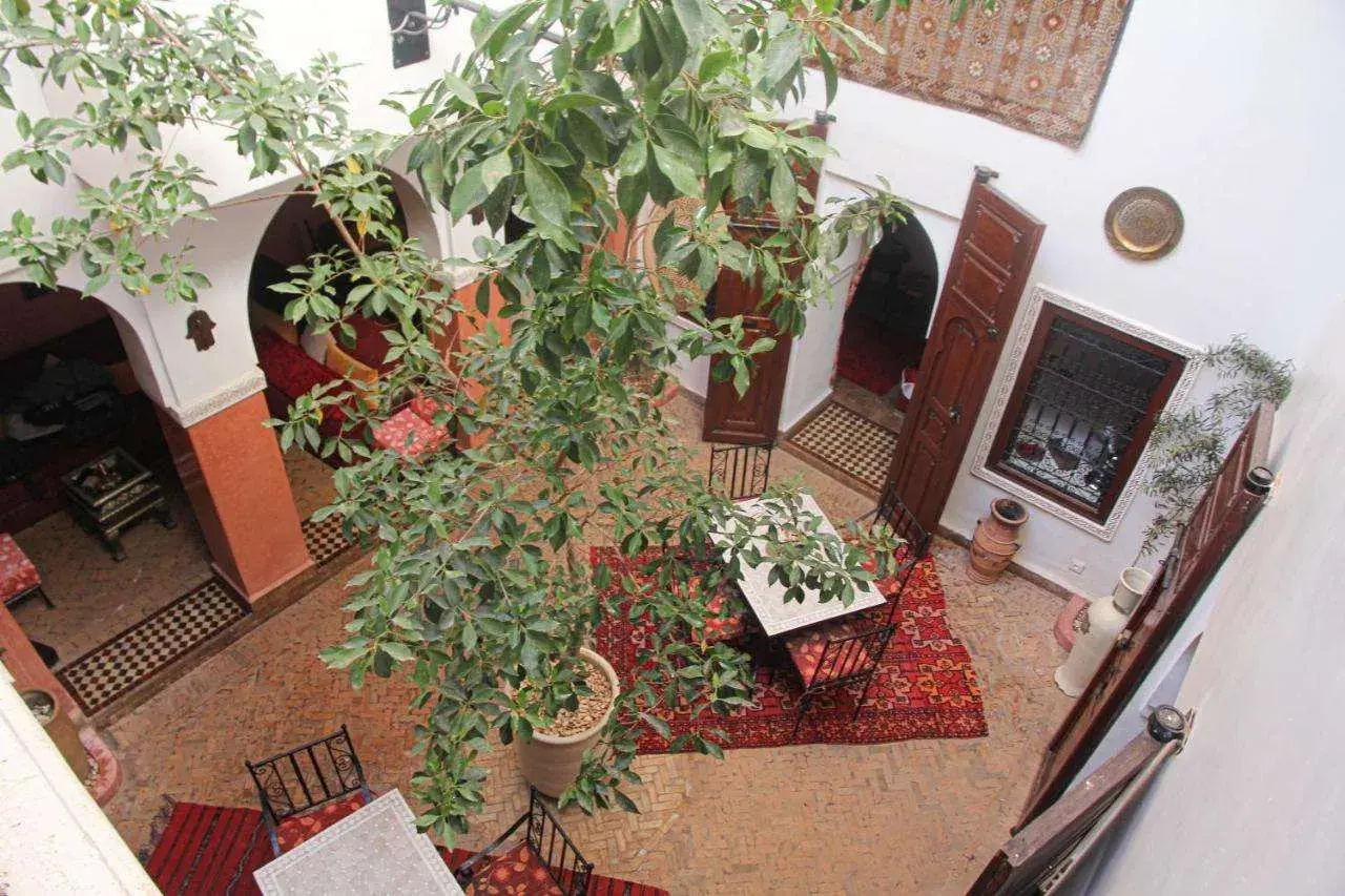 Photo - Riad Tizgui