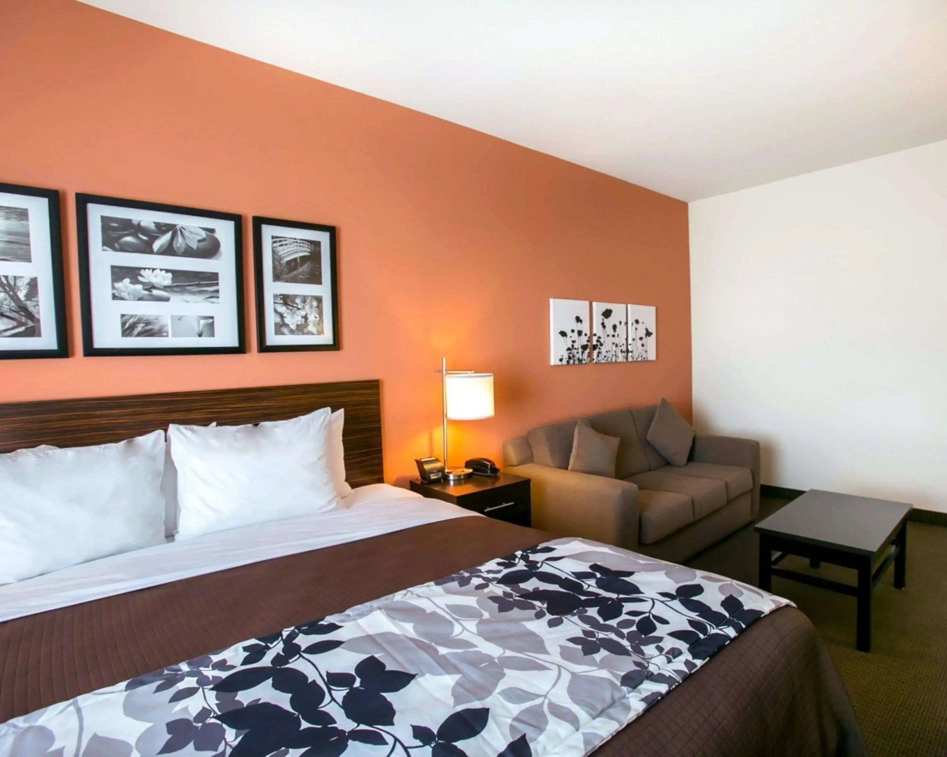 Foto - Sleep Inn & Suites Austin Northeast