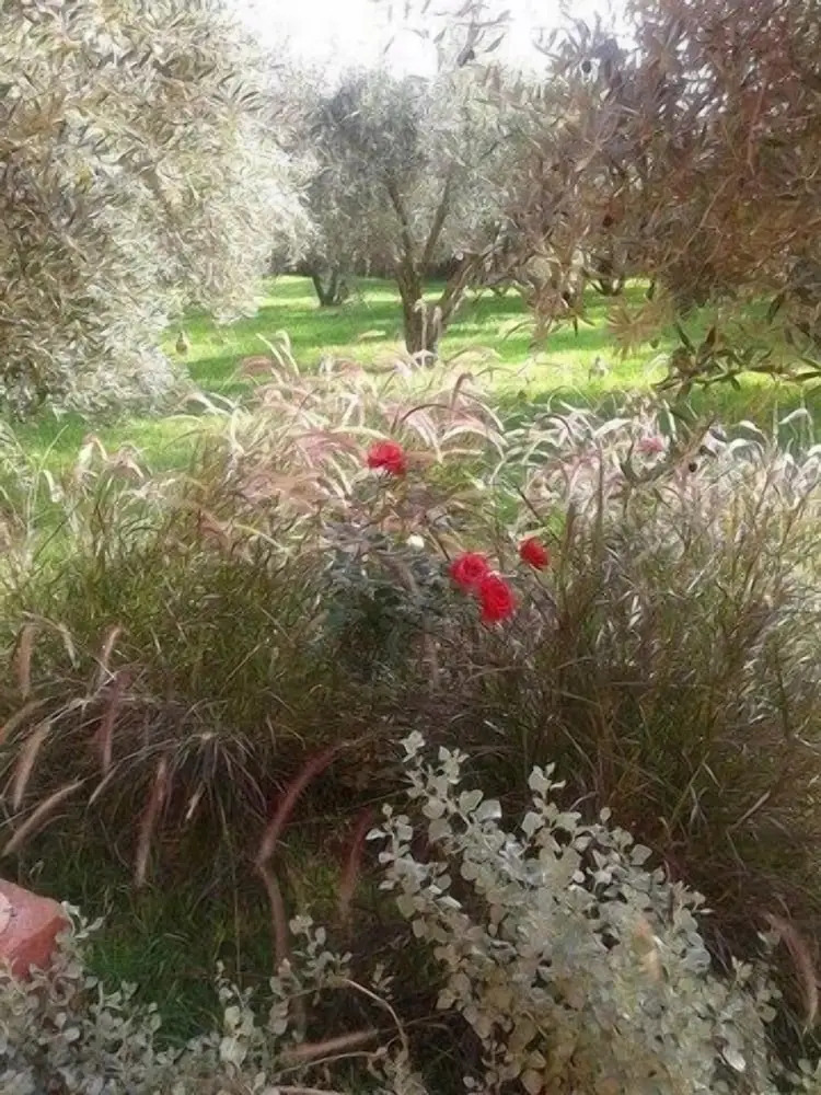 Photo - Riad Sidi Hicham