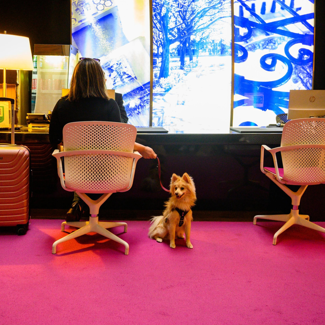 Foto - Las Suites Campos Eliseos