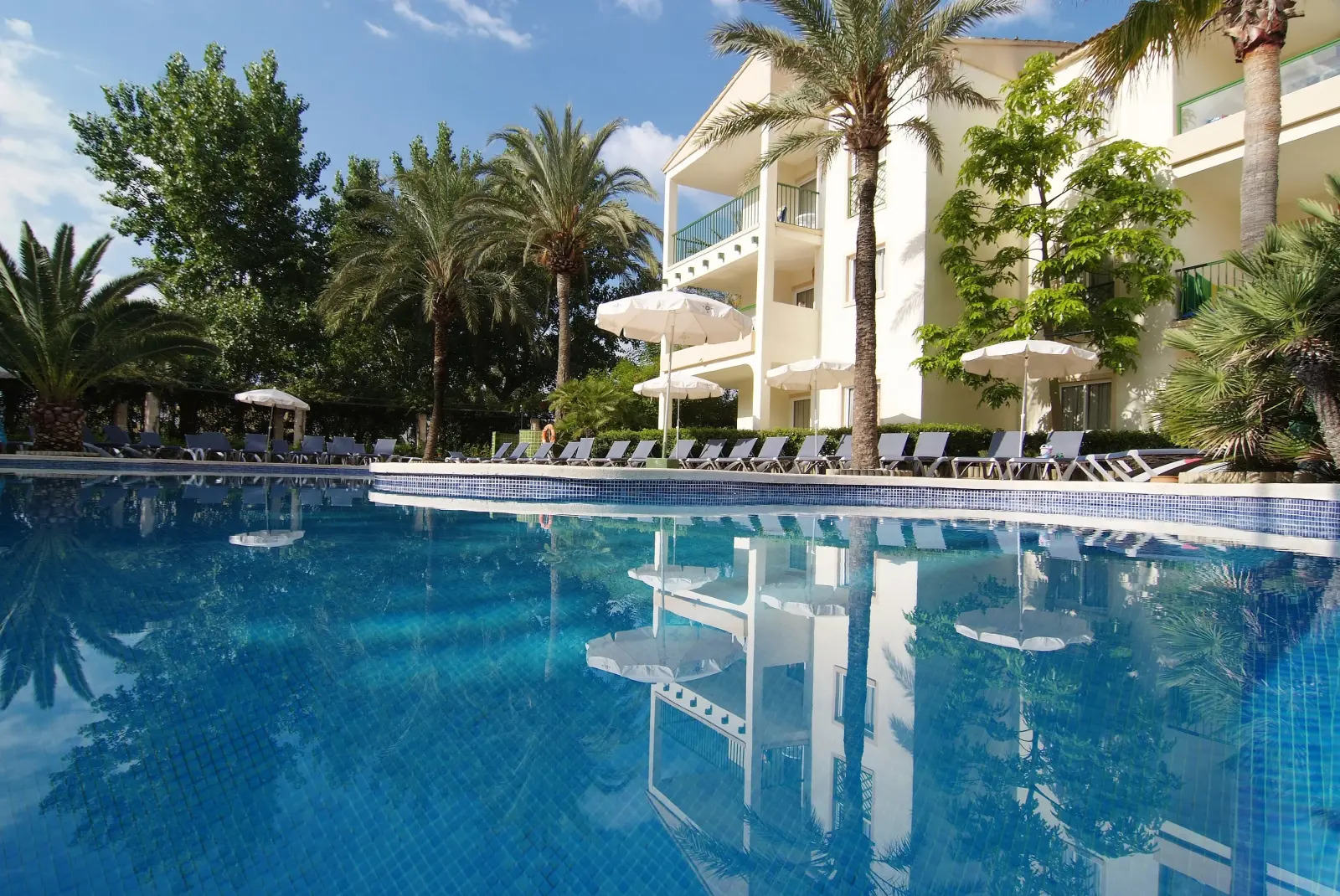 Photo - Zafiro Tropic