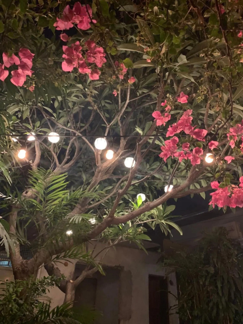 Foto - The Hub District Garden Suites