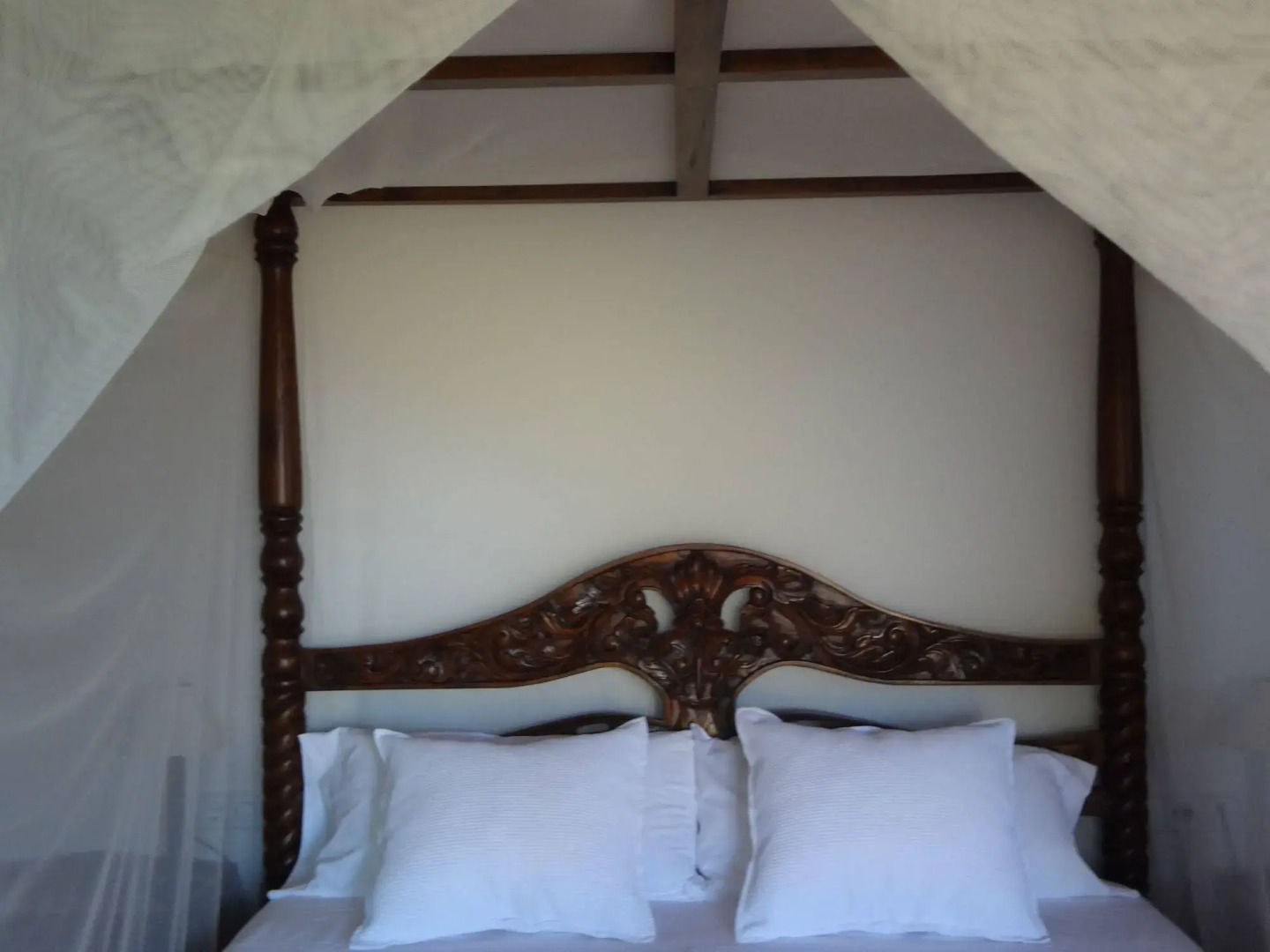 Photo - Agroturismo Sa Vinya d'en Palerm