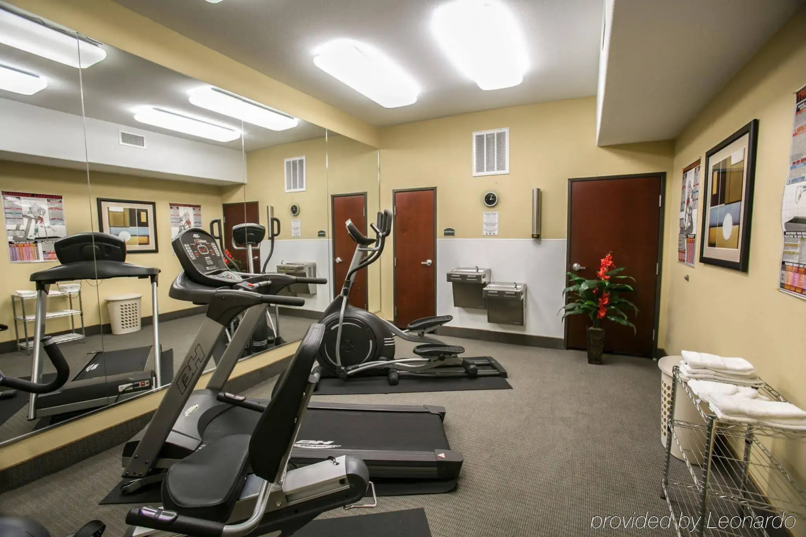 Photo - Sleep Inn and Suites Downtown Houston