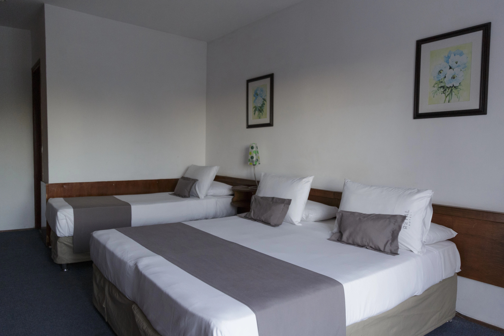 Foto - Hotel Royal Colonia