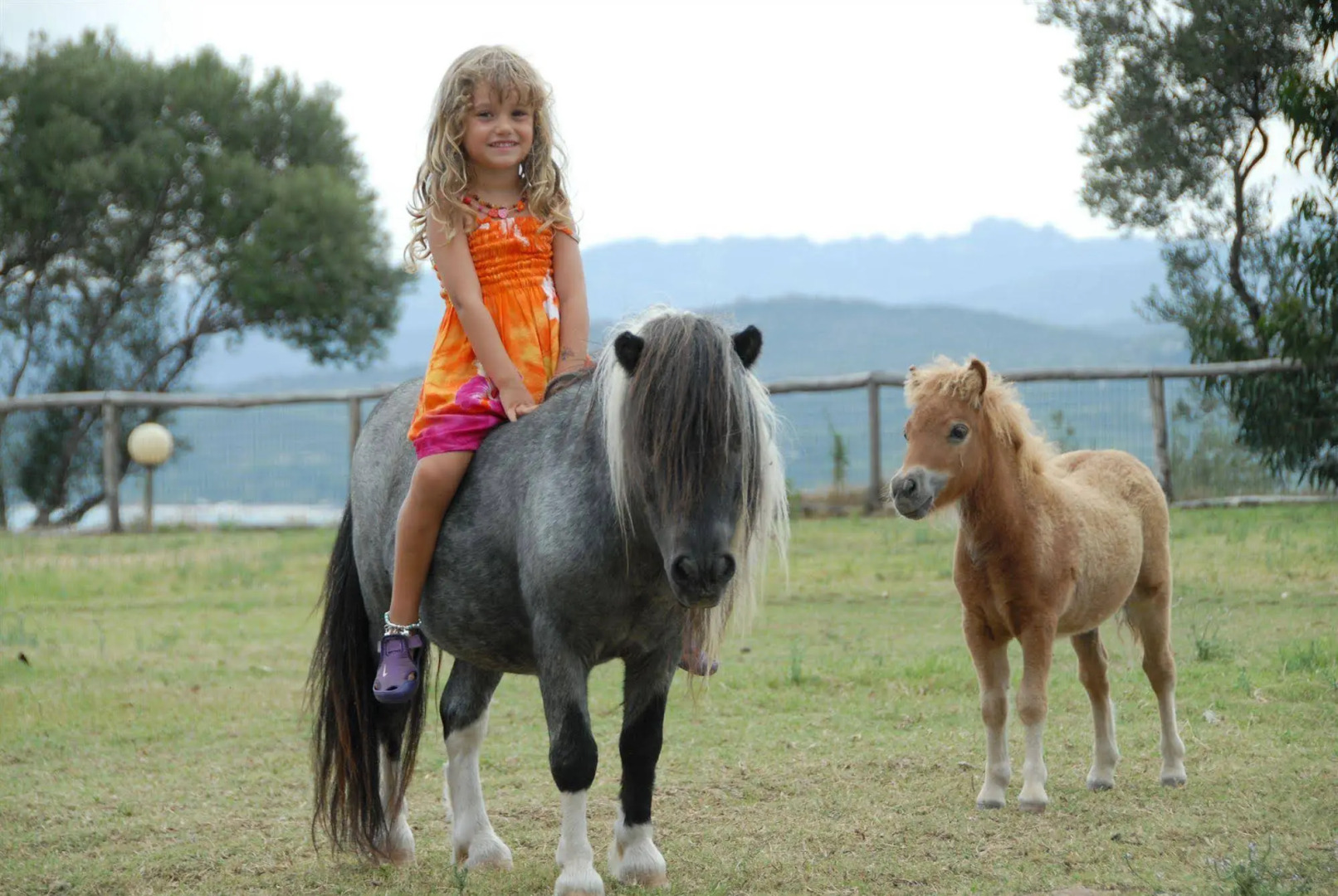 Foto - Arbatax Park Resort - Cottage