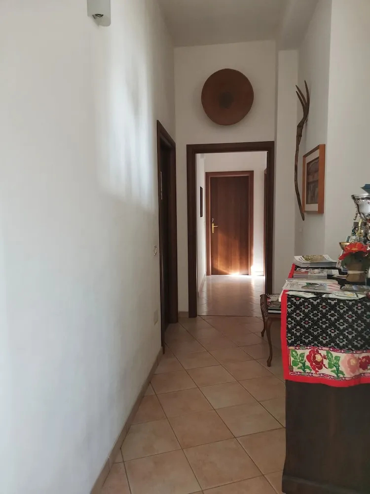 Foto - L'abete