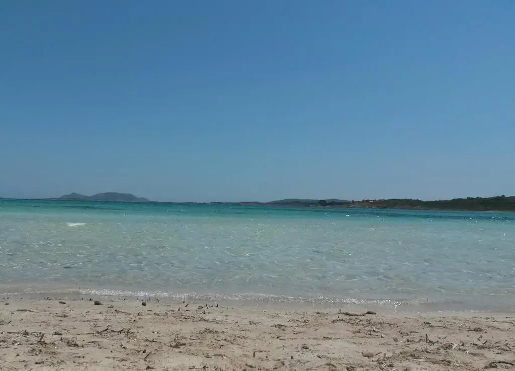 Photo - Hotel Piccada