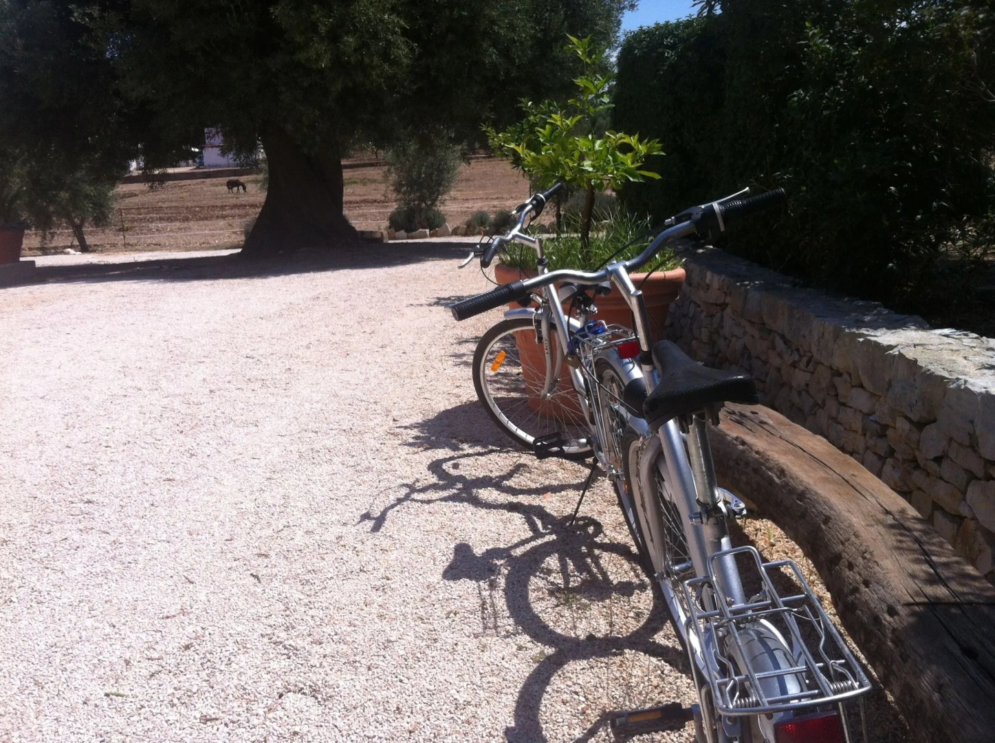Photo - Villa Narducci