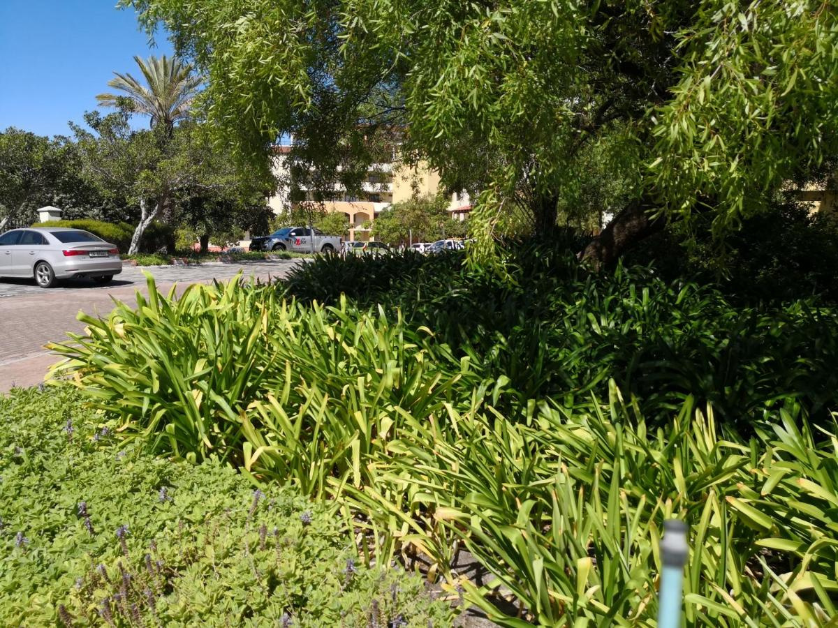 Foto - Majorca Apartments by BON Hotels