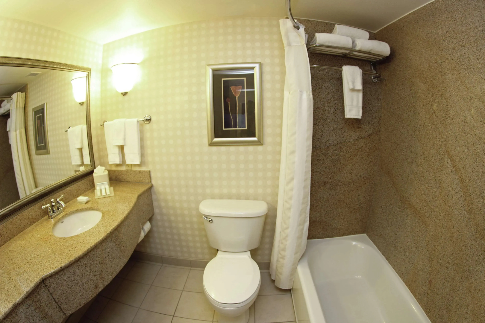 Photo - Hilton Garden Inn Jacksonville Orange Park