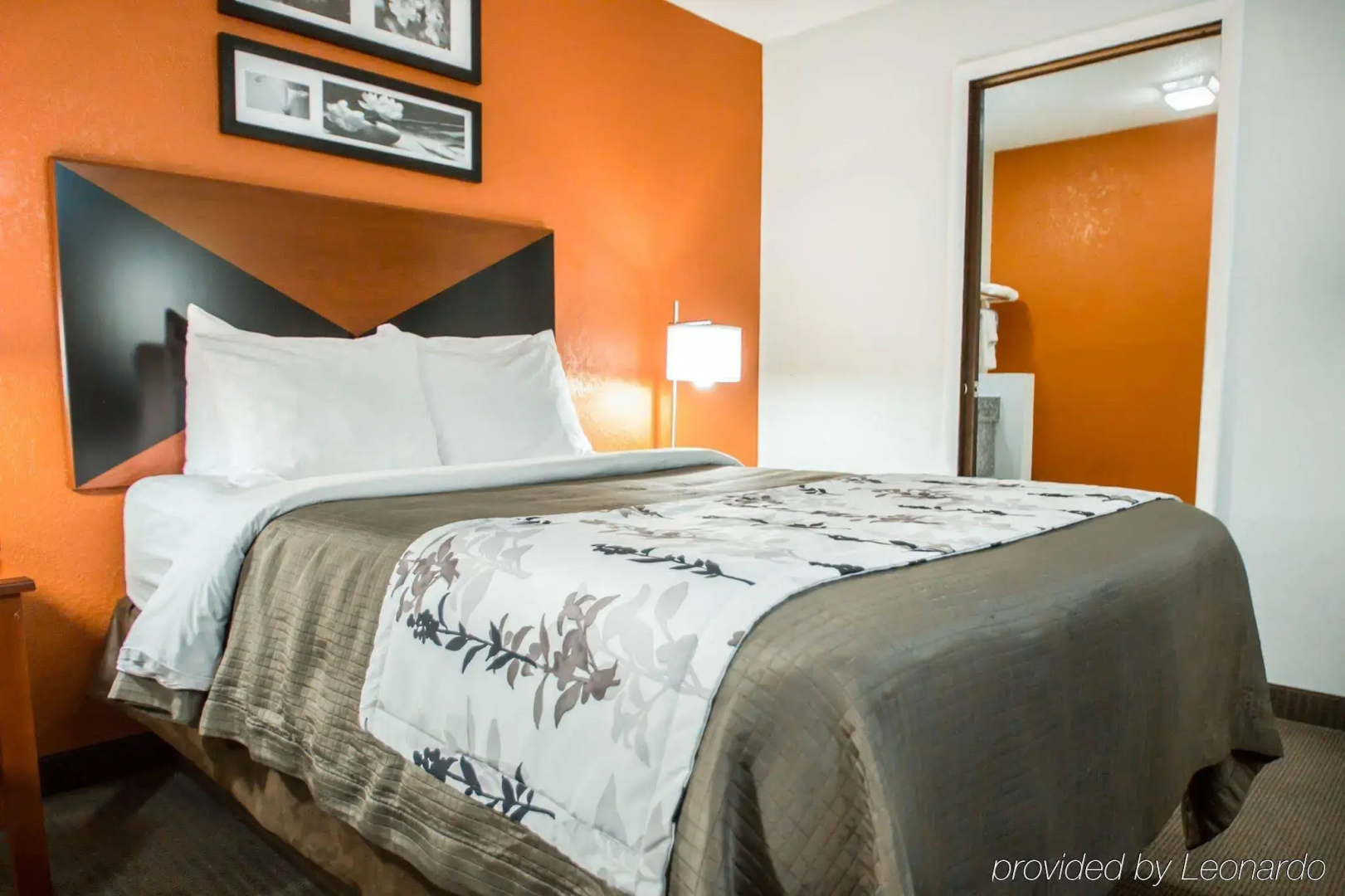 Foto - Sleep Inn Sarasota North