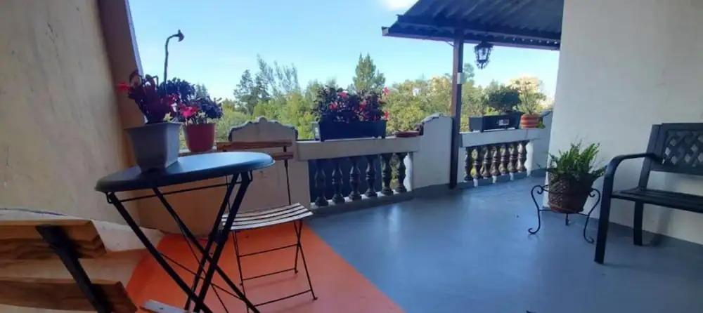 Photo - Sun Backpackers