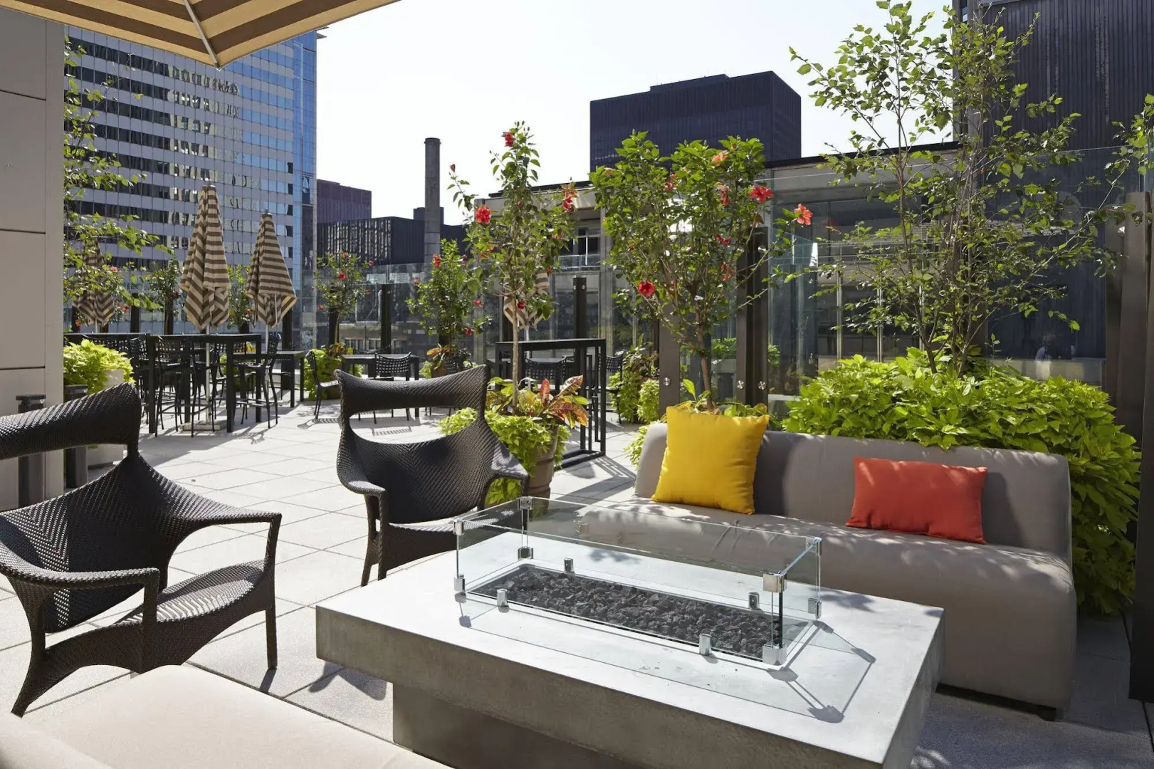 Foto - Hyatt Centric The Loop Chicago