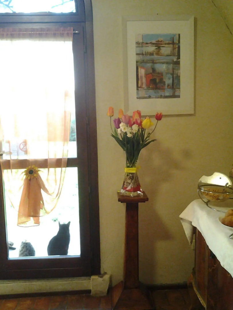 Foto - Hotel La Corte