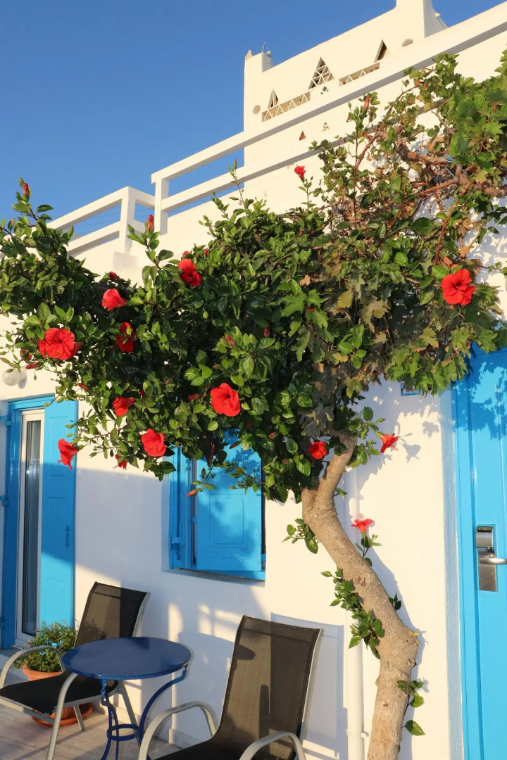 Foto - Hotel Madalena
