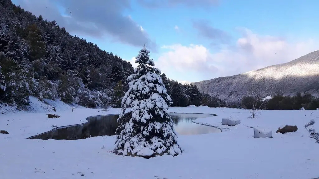 Foto - Les Pardines 1819 Mountain suites & SPA