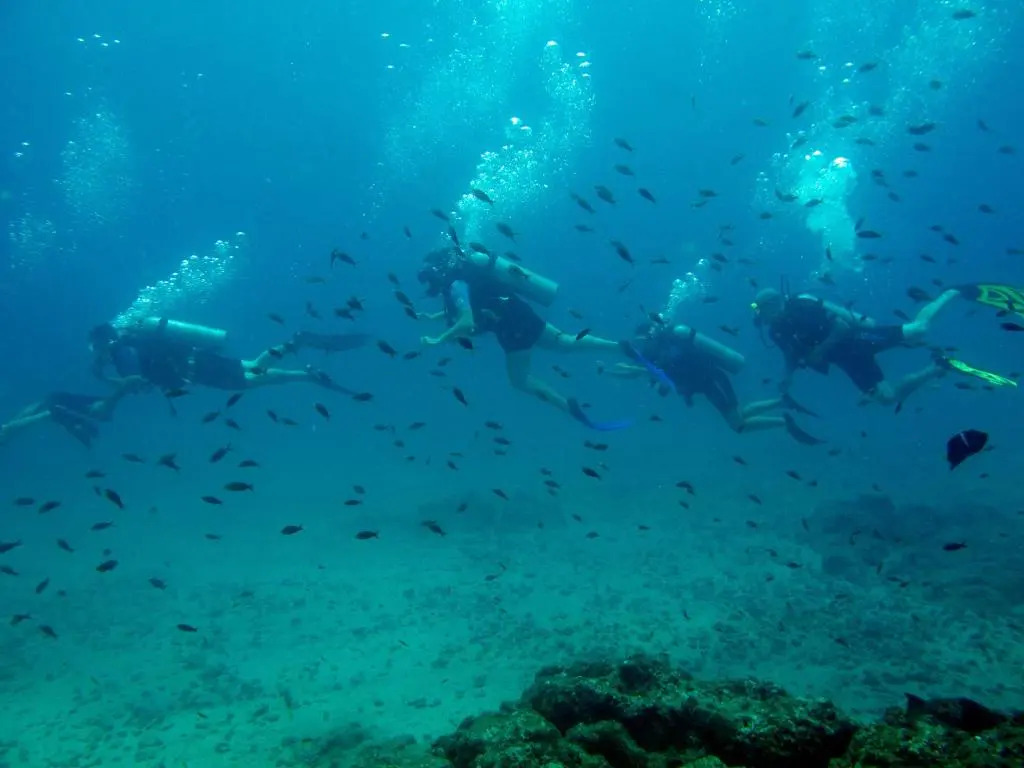 Foto - Hotel La Mariposa