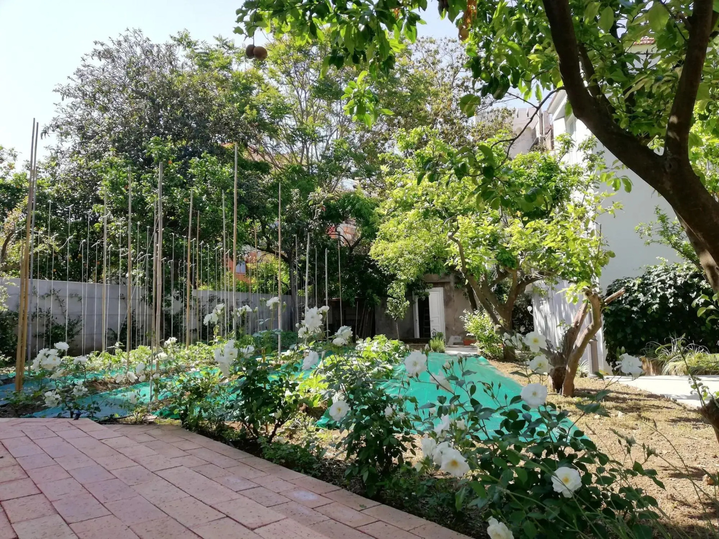 Photo - Villa Manning Relais