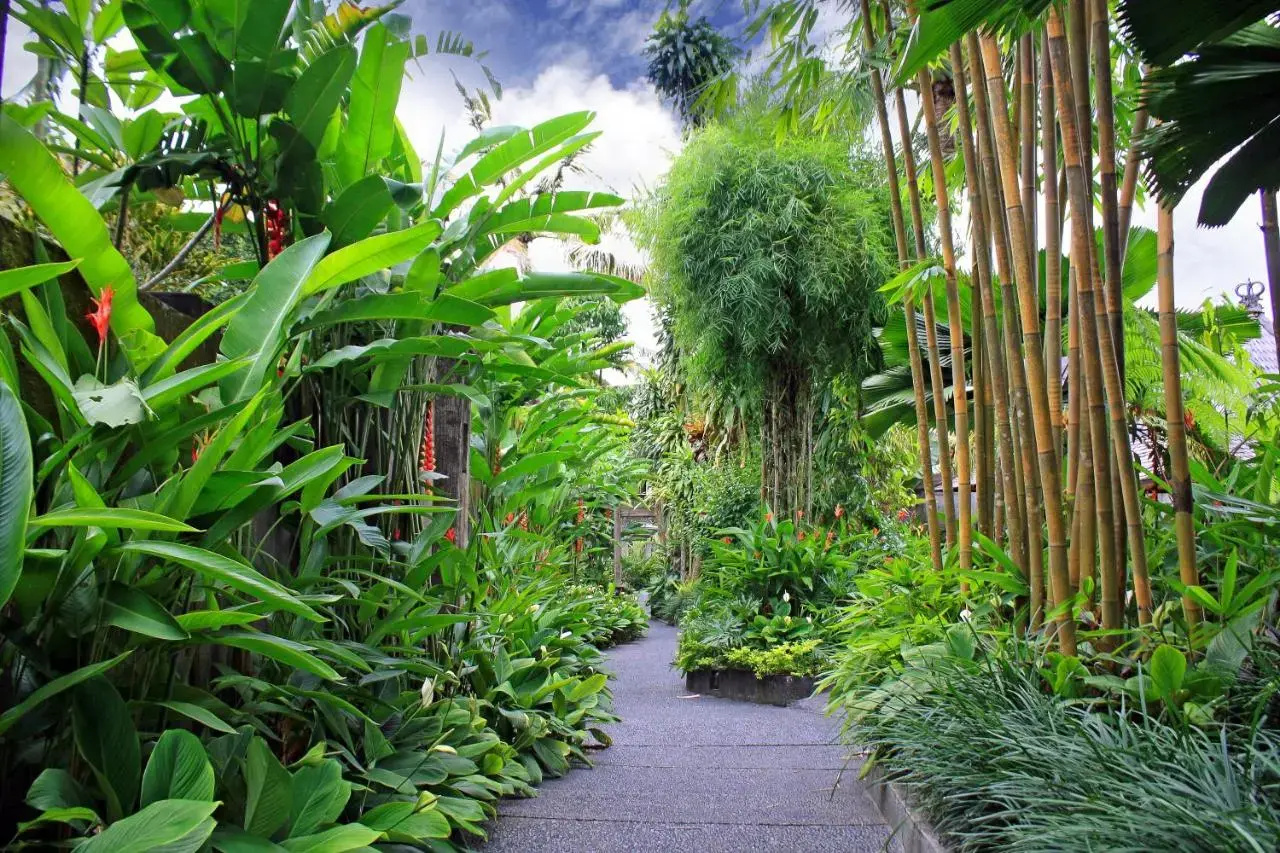 Photo - KajaNe Mua at Ubud Bali
