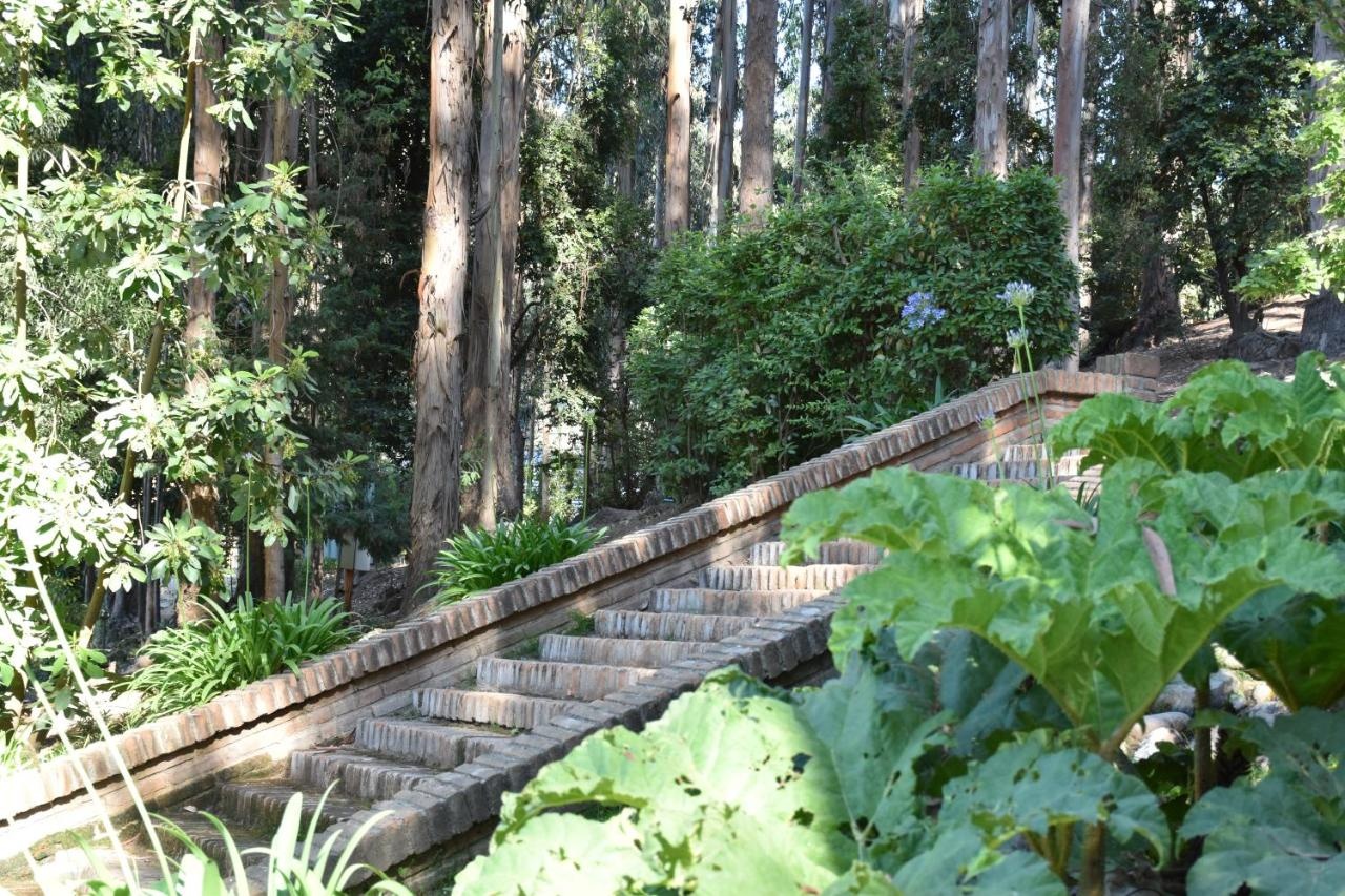 Foto - Hotel Bosque de Reñaca