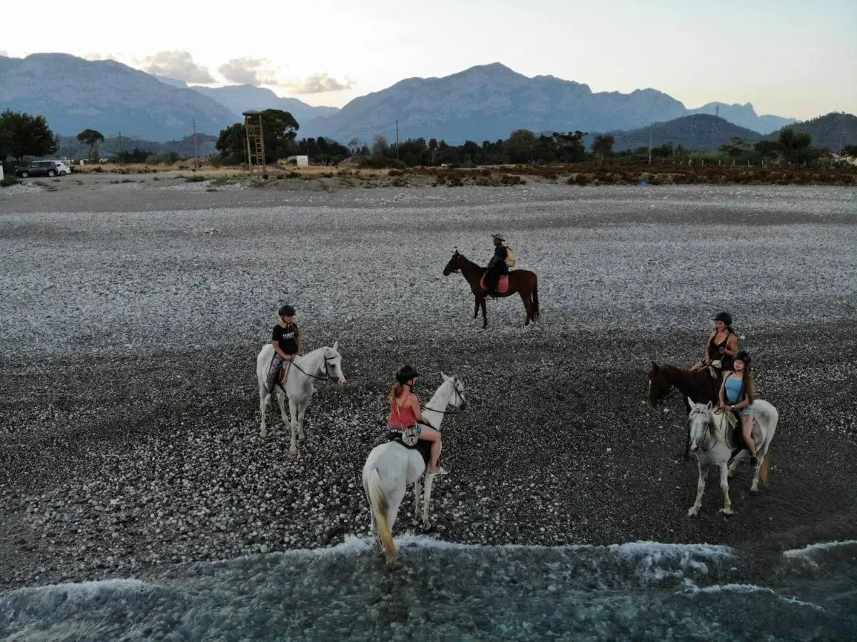 Photo - Beso Hotel Berke Ranch