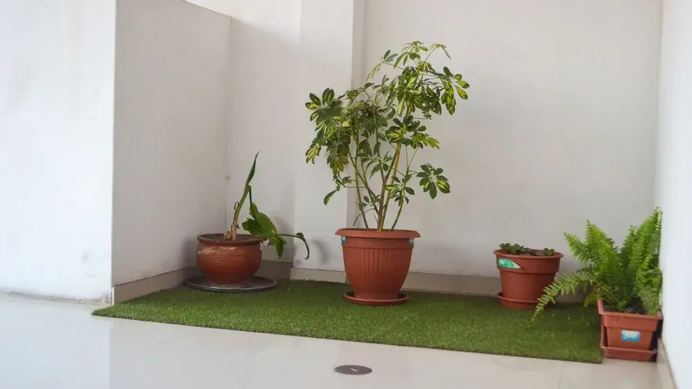 Photo - Rosenverg House Lima Airport