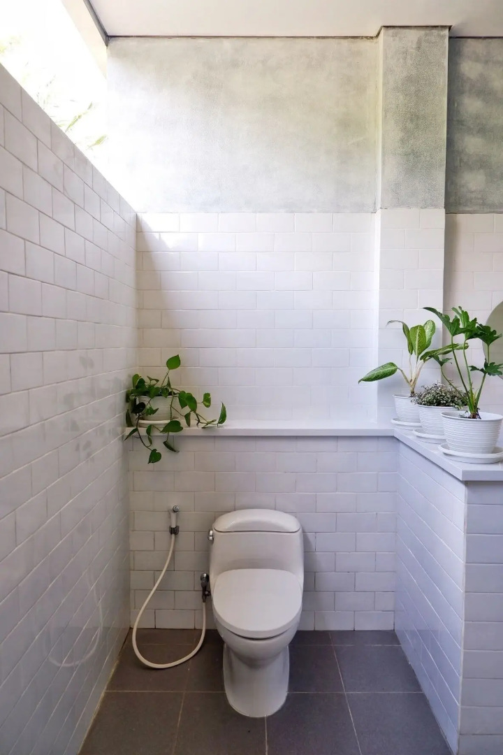 Photo - The Sloth Bali