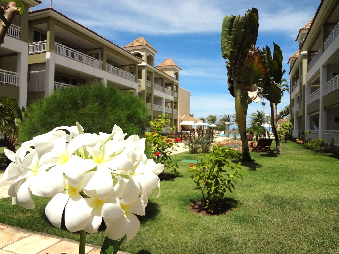 Foto - Atlantic Palace Apart-Hotel