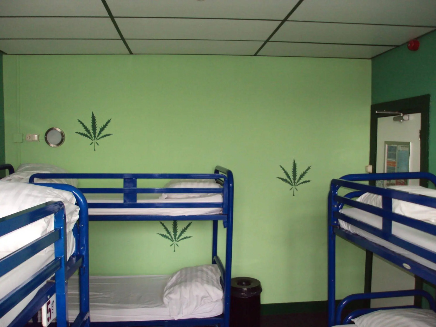 Foto - Flying Pig Uptown