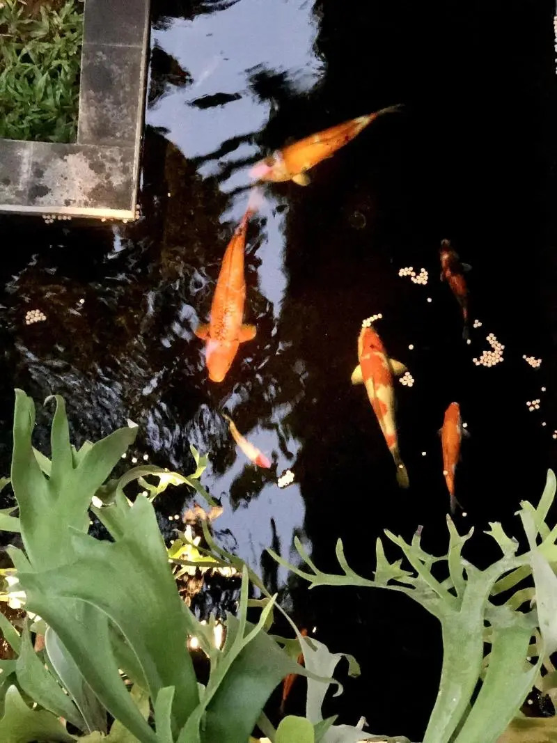 Foto - The Hidden Bali Inn