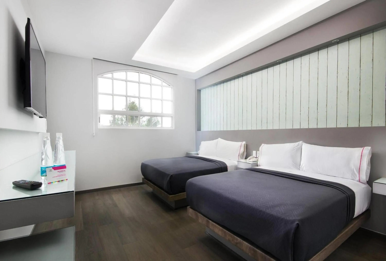 Foto - Hotel MX congreso CDMX, Trademark Collection by Wyndham