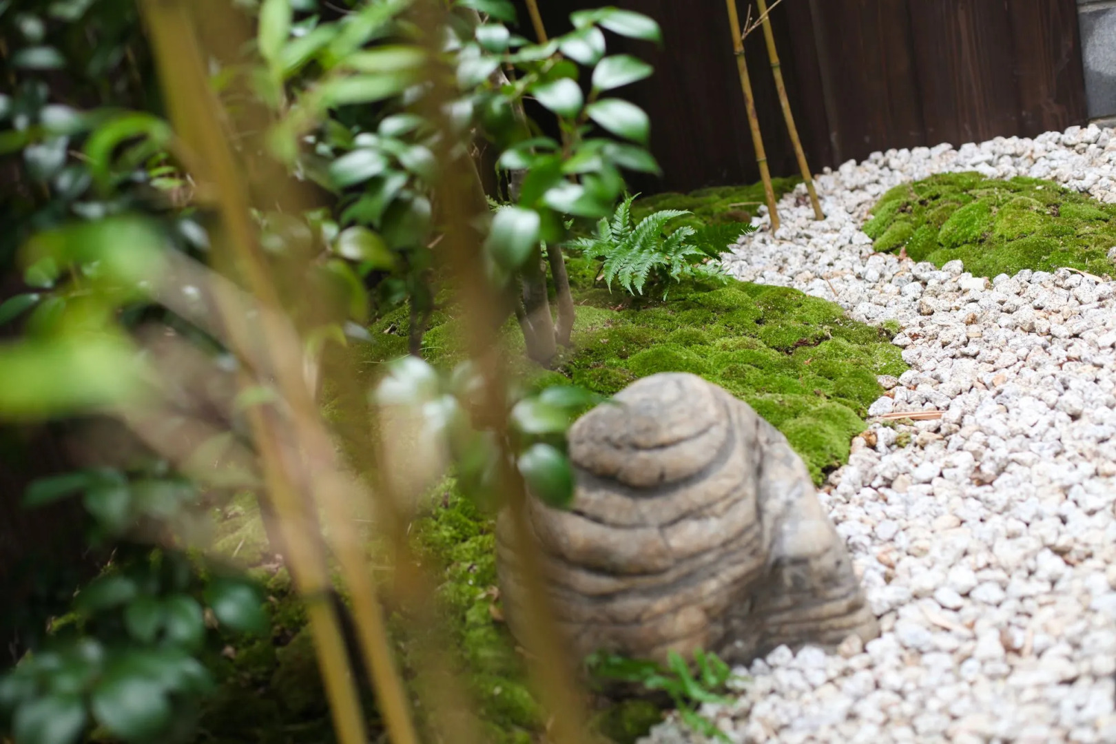 Foto - Rinn Kiyomizu Gion