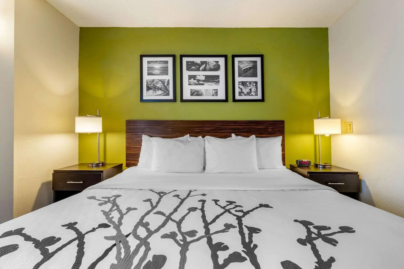 Photo - Sleep Inn I-95 North Savannah