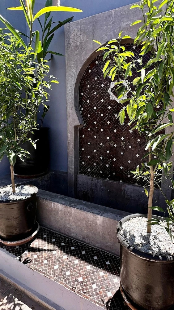 Foto - Riad Pourpre Medina