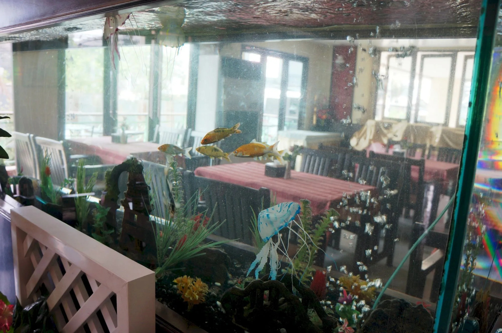 Foto - Noble Place Chiangmai